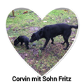 Corvin & Fritz 